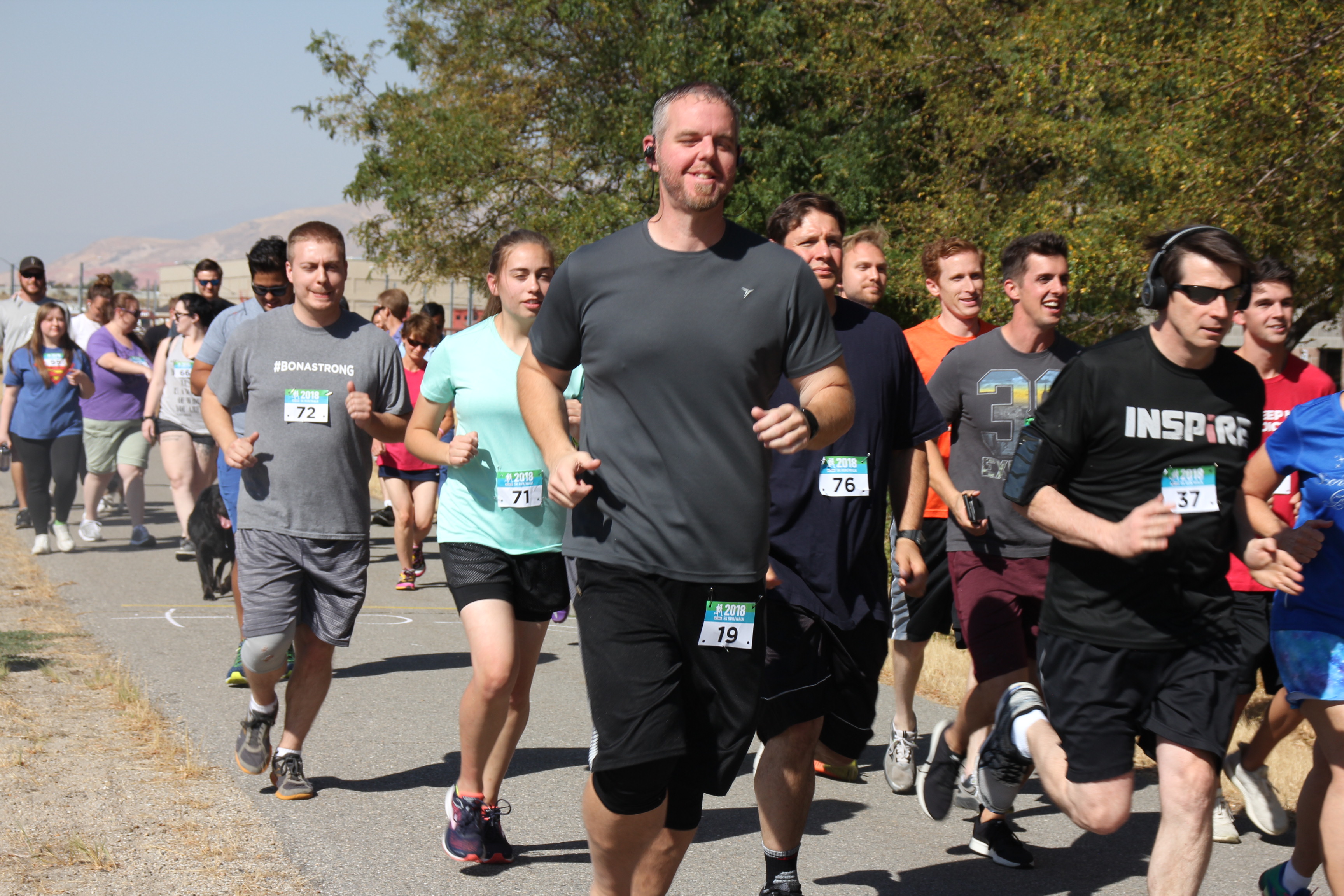 Access Development - Abstract Design Collection - High Resolution Quality